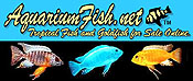 AquariumFish