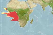 Odontostomias micropogon