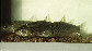 Lecep_u1.jpg