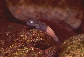 Lecon_m1.jpg